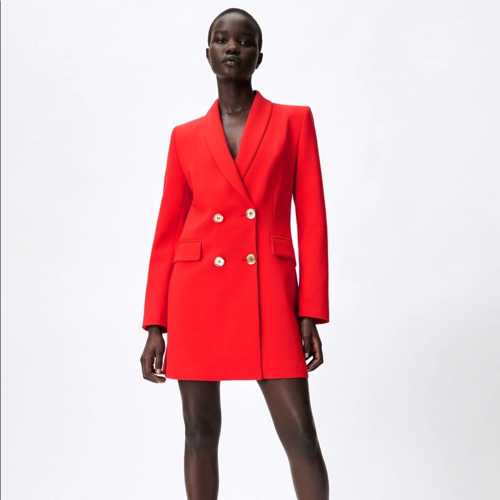 Zara Blazer Dress/Jacket